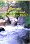 ¿Por qué Dios Trinidad es fuente de vida?